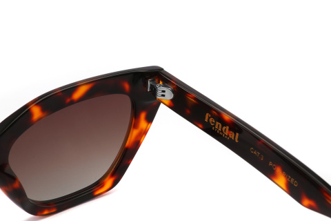 Fendal Eyewear KENORA C2