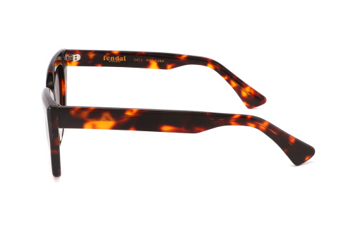 Fendal Eyewear KENORA C2