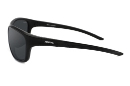 F108-2 - Okulary przeciwsłoneczne Fendal