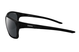 F109-3 - Okulary przeciwsłoneczne Fendal