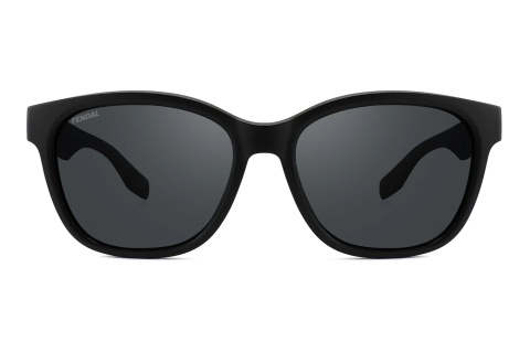 F119-1 - Okulary przeciwsłoneczne Fendal