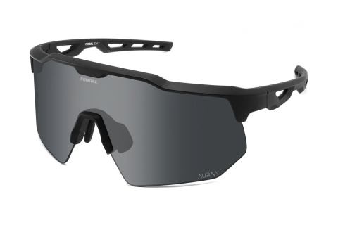 F126-1 - Okulary przeciwsłoneczne Fendal