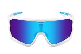 F128-2 - Okulary przeciwsłoneczne Fendal