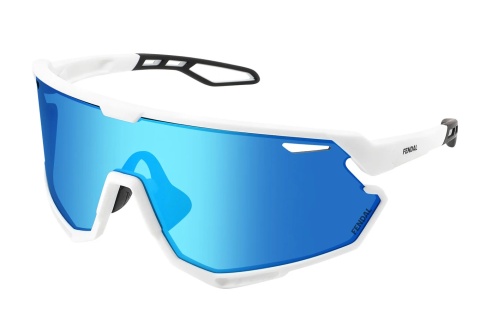 F135-1P - Okulary przeciwsłoneczne Fendal