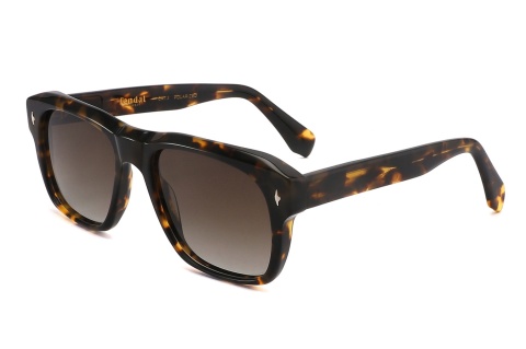 Fendal Eyewear BANFF C3