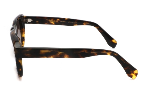 Fendal Eyewear BANFF C3