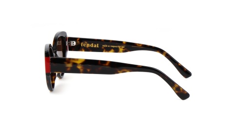 Fendal Eyewear COIMBRA C2