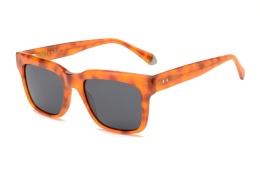 Fendal Eyewear DEZA C2