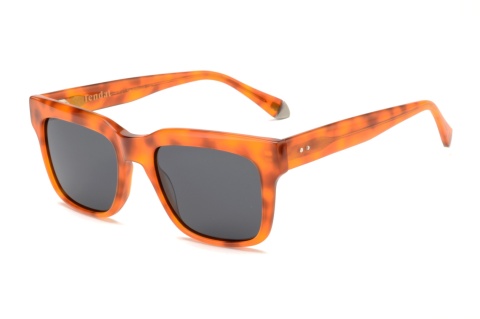 Fendal Eyewear DEZA C2