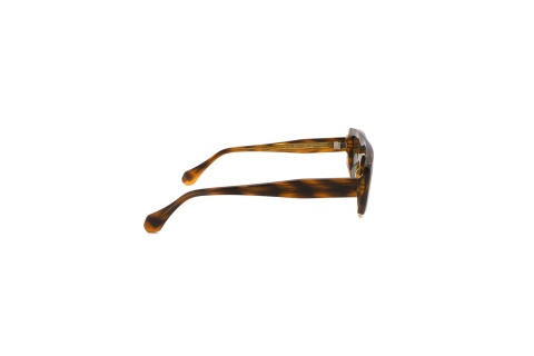Fendal Eyewear EVA C1
