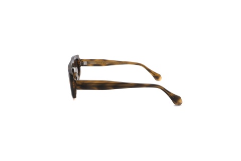 Fendal Eyewear EVA C2