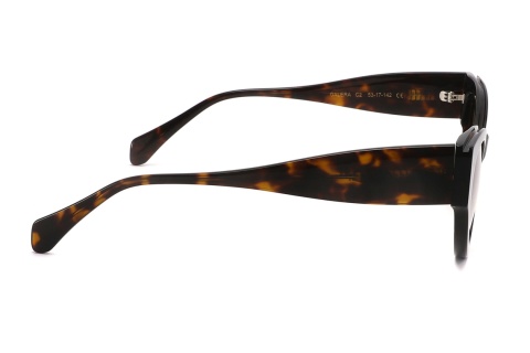 Fendal Eyewear GALERA C2