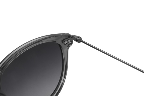 Fendal Eyewear LEO C3