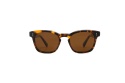 Fendal Eyewear LOGAN C3