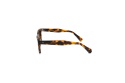Fendal Eyewear LOGAN C3