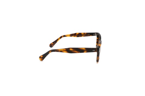 Fendal Eyewear LOGAN C3