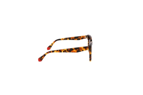 Fendal Eyewear OTTAWA C1