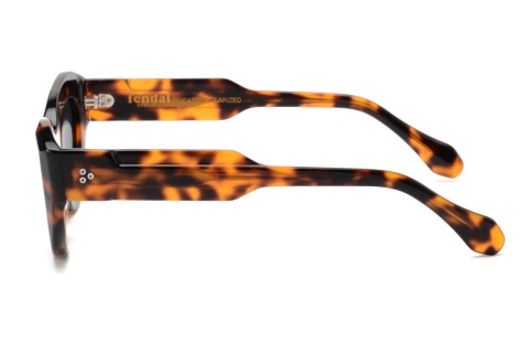 Fendal Eyewear PINO C2