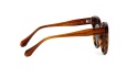 Fendal Eyewear SEIA C1