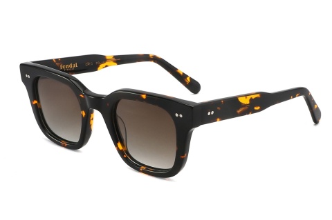 Fendal Eyewear TRILLO C2