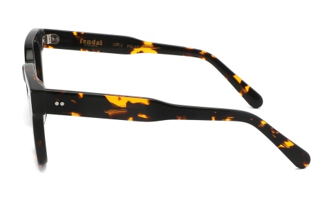 Fendal Eyewear TRILLO C2