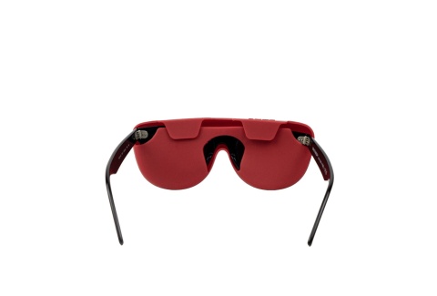 Etui Lups The Case 12
