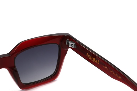 Fendal Eyewear BROOKS C2 DEMI