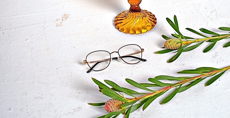 Okulary korekcyjne z oprawkami oraz dyfuzorem i liśćmi